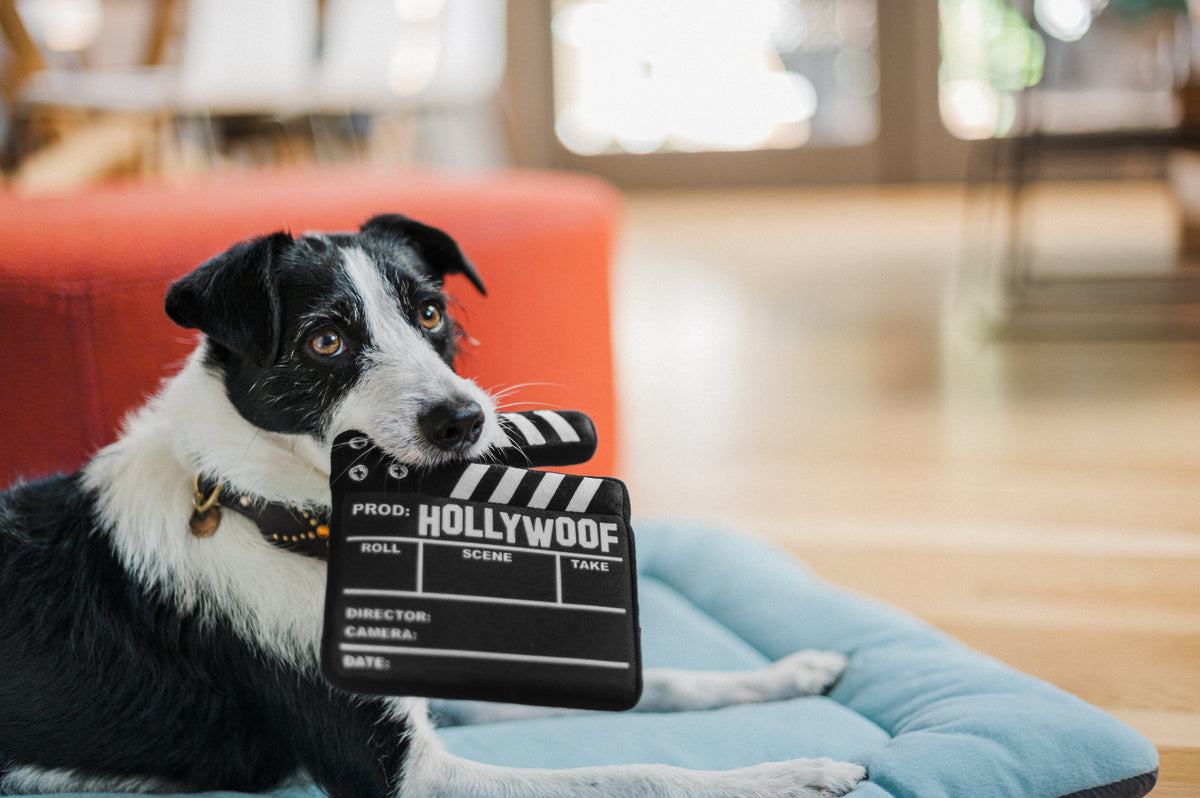 Hollywoof Doggy Director Board Dog Toy – In Vogue Pets