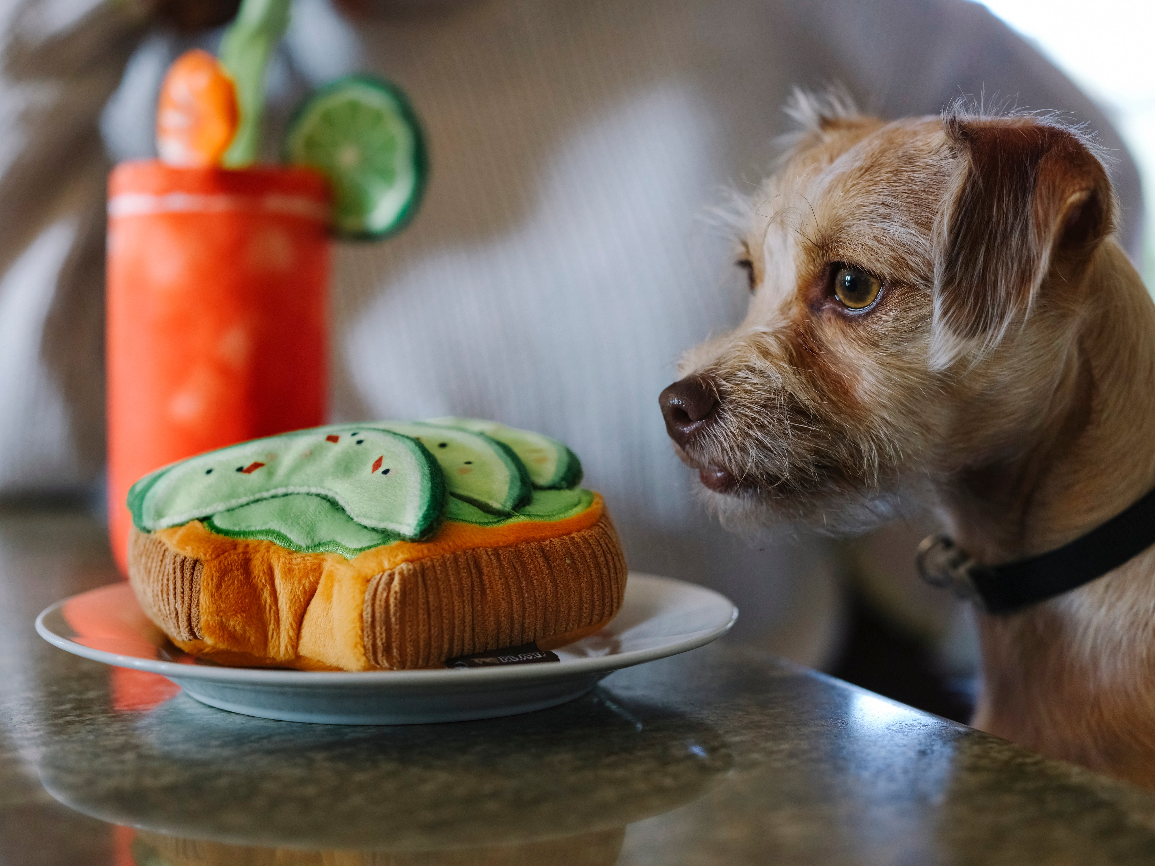 Barking Brunch Avo-Doggo Toast Plush Dog Toy
