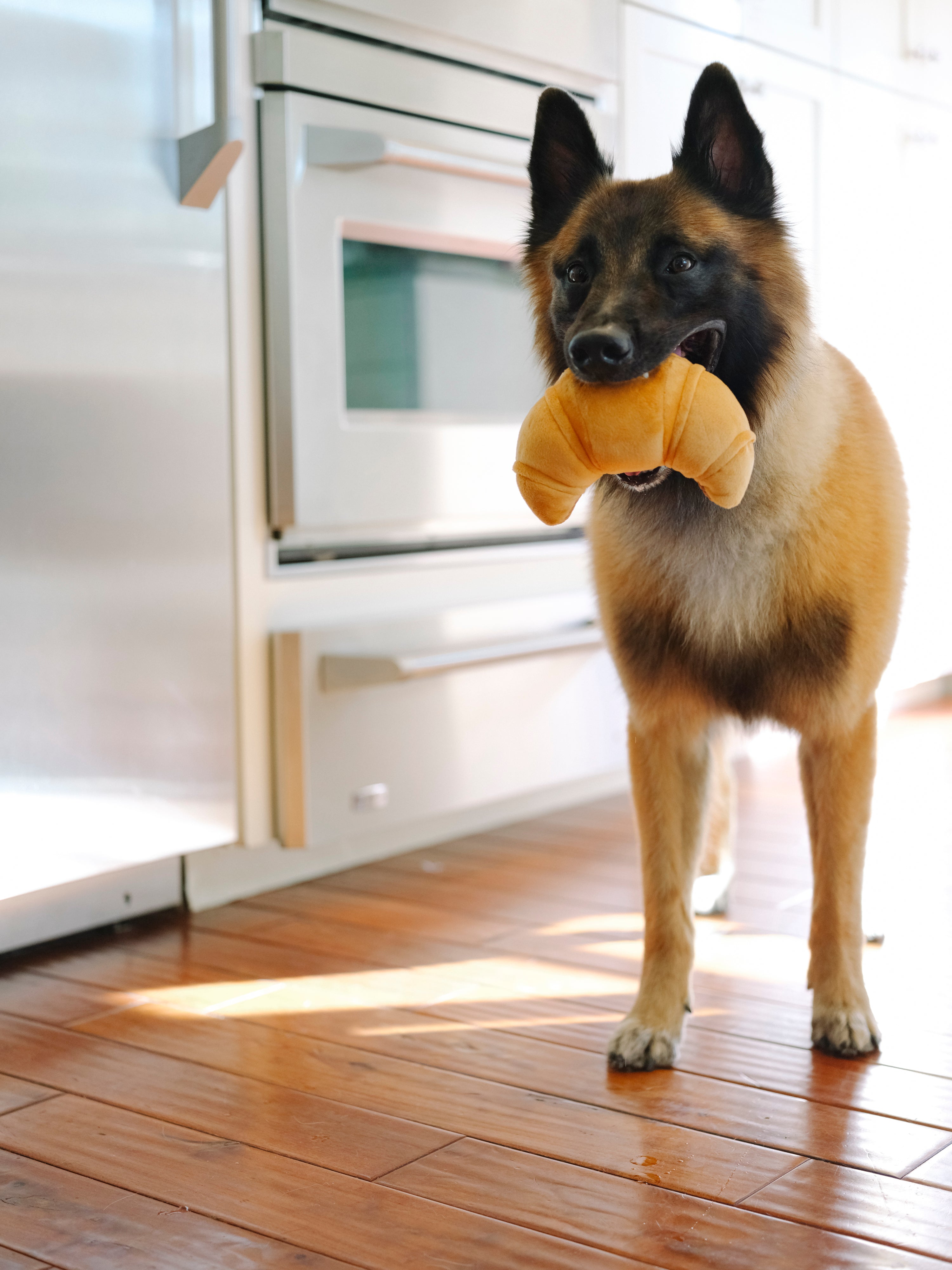 Barking Brunch Pup's Croissant  Plush Dog Toy