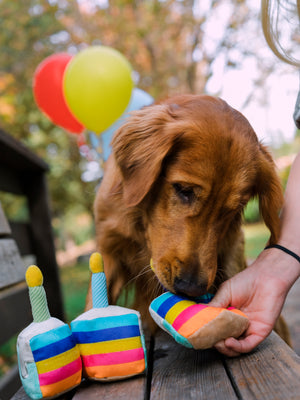 Party Time Bone-Appetit Cake Plush Dog Toy